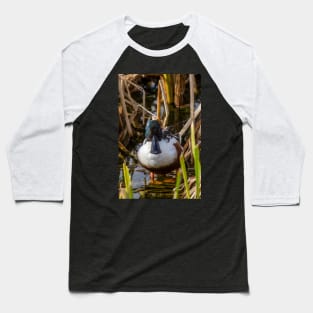 Male Northern Shoveler In The Reeds Baseball T-Shirt